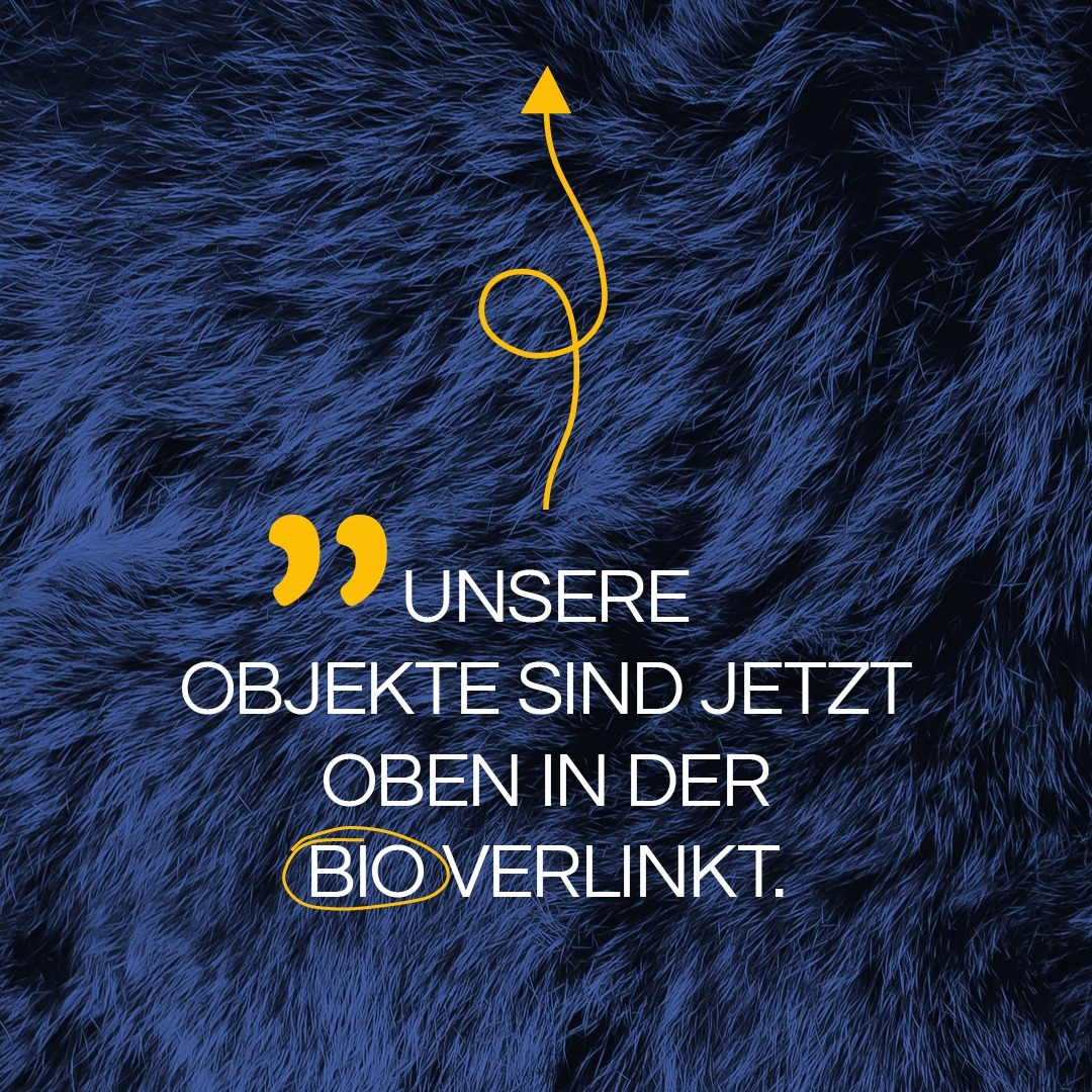 Liebe Follower des Immobilien Bär Instagram Kanals, unsere Objekte in unserem Instagram Feed sind ab sofort in unserer Bio verlinkt.☺️
Wir hoffen Ihr feiert unser neues Feature genauso wie wir 😁
#immobär #Immobilien #neuesfeature #linkinbio👆